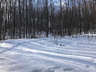 2135 N Mt Tom Rd Unit 1.9 acres, Mio, MI 48647