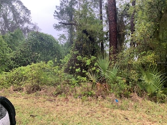0 SE 69th Ave, Hawthorne, FL 32640