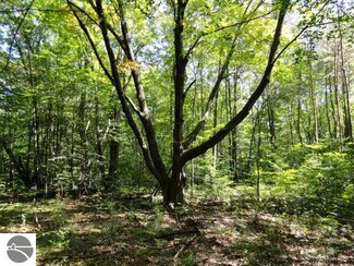 5340 W Maple Grove Rd, Farwell, MI 48622
