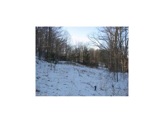 0 Buzzard Run Rd Unit M237081, Pennsboro, WV 26415