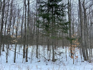0 Banks Rd Unit 3.7 Acres, Hillman, MI 49746