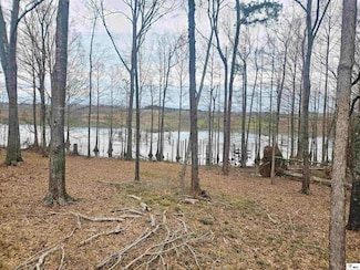 358 Lolley Rd, Downsville, LA 71234