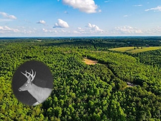 0 Hyde Rd Unit LotWP001 23713578, Phil Campbell, AL 35581
