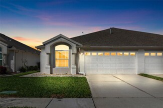 1847 Ravenridge St, Wesley Chapel, FL 33543