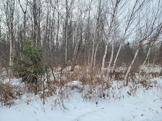 off N Weirgor Rd Unit 5 Acres, Exeland, WI 54835