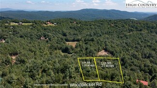 Lot 90 Woodpecker Rd, Purlear, NC 28665