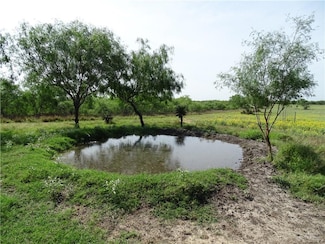 0 Fm 2294 Hwy Unit 403486, San Isidro, TX 78588