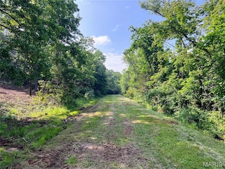 0 Mimeaux Unit MIS25036418, Bonne Terre, MO 63628