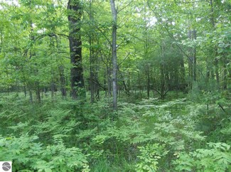0 Cranberry Lake Dr Unit 1785621, Prescott, MI 48756