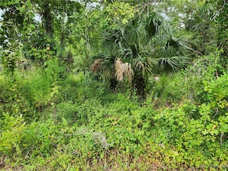 2070 E Patchwork Ln, Inverness, FL 34453