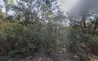 188 Kay St, Interlachen, FL 32148