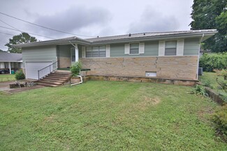 224 S 3rd St, Mammoth Spring, AR 72554