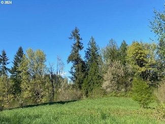 0 Branch Rd, Scappoose, OR 97056