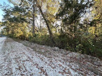 000 SE 926th St, Old Town, FL 32680