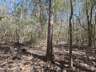 21 Range Line Rd, Perkinston, MS 39573