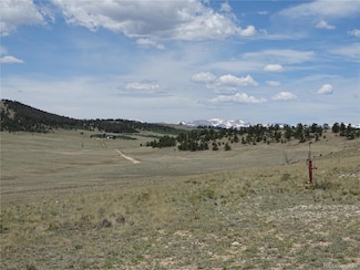 9164 County Road 15, Fairplay, CO 80440