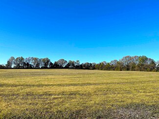 2850 Hebron Dr, Somerville, TN 38068