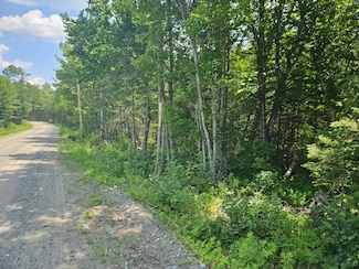 PE039_2_6 Myra Rd, Greenfield Township, ME 04418