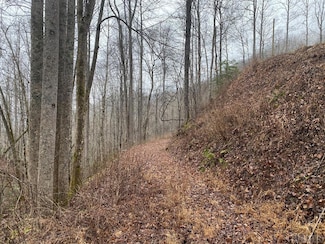 Tr 17B Forest Ridge Rd, Whittier, NC 28789