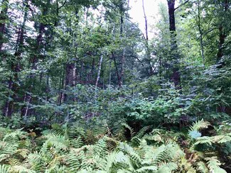 00 Harriman Rd, Dalton, NH 03598
