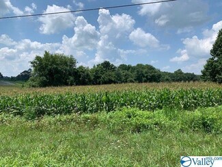 19715 Al Highway 117, Ider, AL 35981
