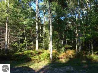 3528 Grand Kal Rd SW, Fife Lake, MI 49633