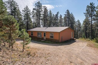 576 Rosalie Dr, Durango, CO 81301