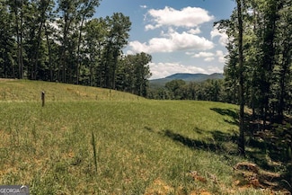 LT 133 Ridges of Blue Ridge, Morganton, GA 30560