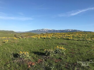 Lot 3 Cuddy View 2, Council, ID 83612