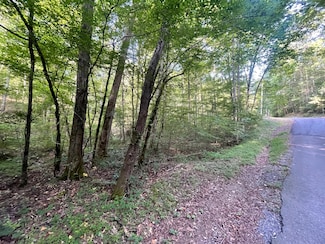 730 Nettles Ln, Ranger, GA 30734
