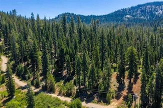 258 Bucks Meadows Dr, Bucks Lake, CA 95971
