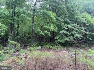 0 Iroquois Trail, Back Creek, VA 22602