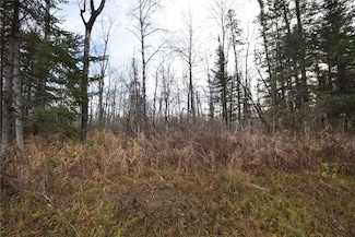 0 Fire Lane Rd, Webb Lake, WI 54830