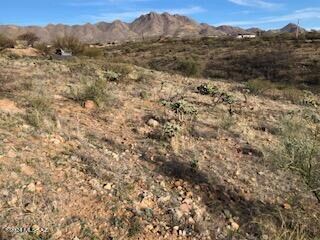 1633 Circulo Puerto Unit 27, Rio Rico, AZ 85648