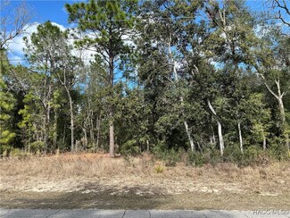 2097 W Mesa Verde Dr, Beverly Hills, FL 34465