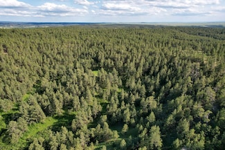 0000 Remington Rd, Upton, WY 82729