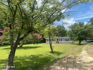 7641 Joe Brown Hwy N, Clarkton, NC 28433