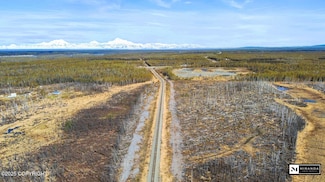 16047 E Mckinley Dr, Willow, AK 99688