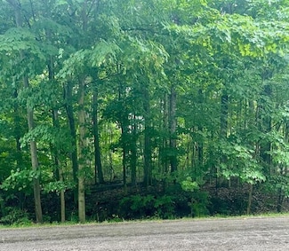 7326 Ohio 19 Unit 2, Lot 317, Mount Gilead, OH 43338