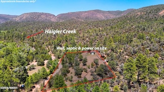 28 N Chamberlain Trail, Young, AZ 85554