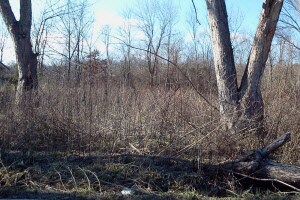 TBD E State Road 58, Heltonville, IN 47436