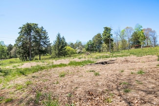TBD Riverview Rd, Ivanhoe, VA 24350