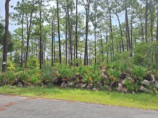 989 N Rhyme Point, Crystal River, FL 34429