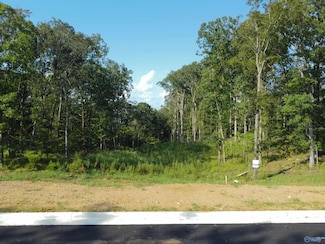 60 Watson Grande Way SE, Owens Cross Roads, AL 35763