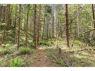 0 Tonga Ln, Springfield, OR 97478