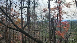 Lot 154 Rhondas Way, Ellijay, GA 30540