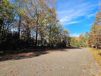 826/830 Kimberly St, Forsyth Township, MI 49841