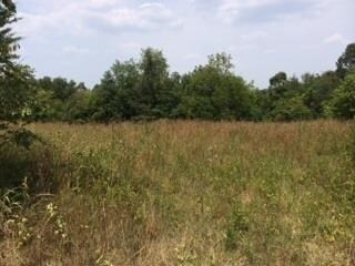 04 Hack Brown Rd, Franklin, KY 42134