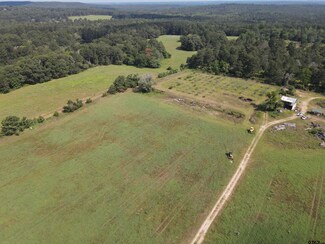 TBD Farm To Market Road 837, Palestine, TX 75803