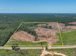 0 Hwy 112 Unit LotWP001 24020150, Toomsboro, GA 31090